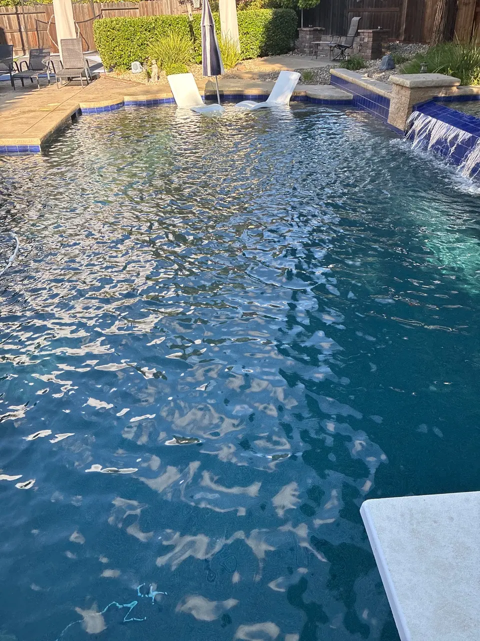 Clear blue pool water surrounds a tanning ledge with lounge chairs beside a raised tiled waterfall and landscaping, after pool service in Roseville, CA