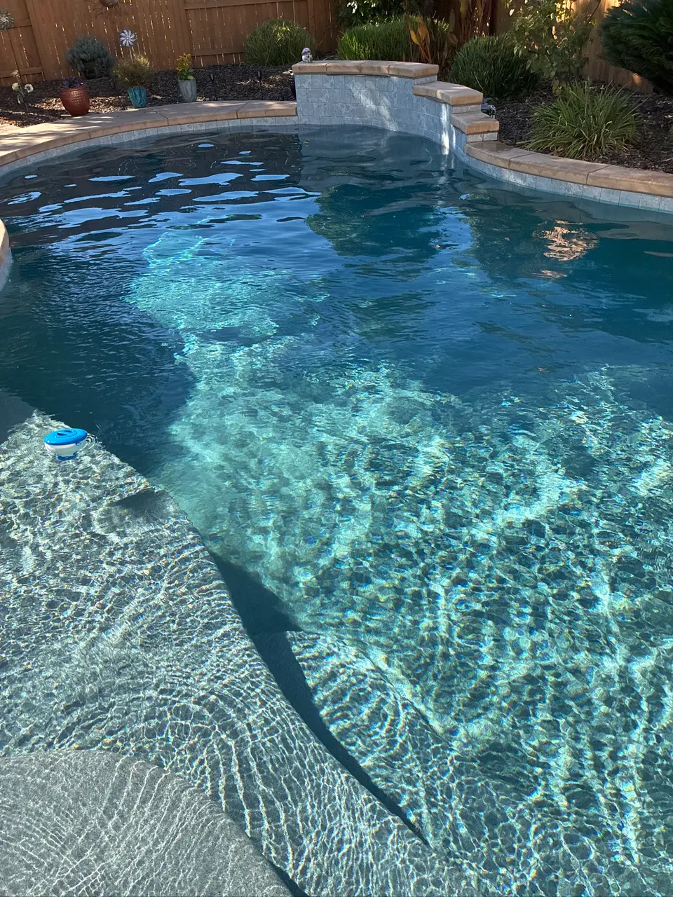 Sparkling blue water reveals a textured finish and curved shallow ledge beneath a raised stone wall and landscaping, after pool service in Roseville, CA