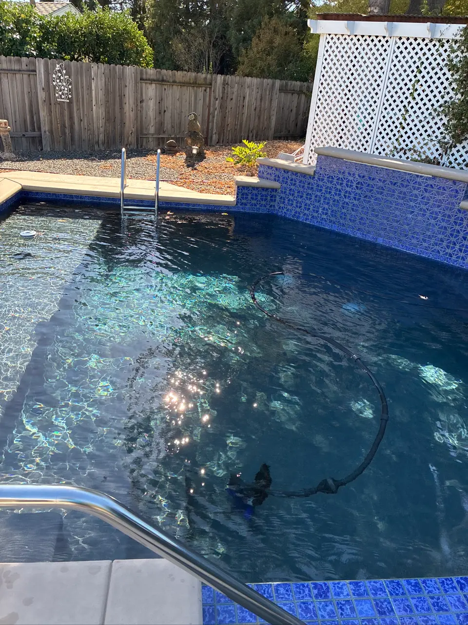 Clear blue pool water surrounds a submerged cleaner, with patterned blue tile, a ladder, and an entry handrail, after pool service in Roseville, CA