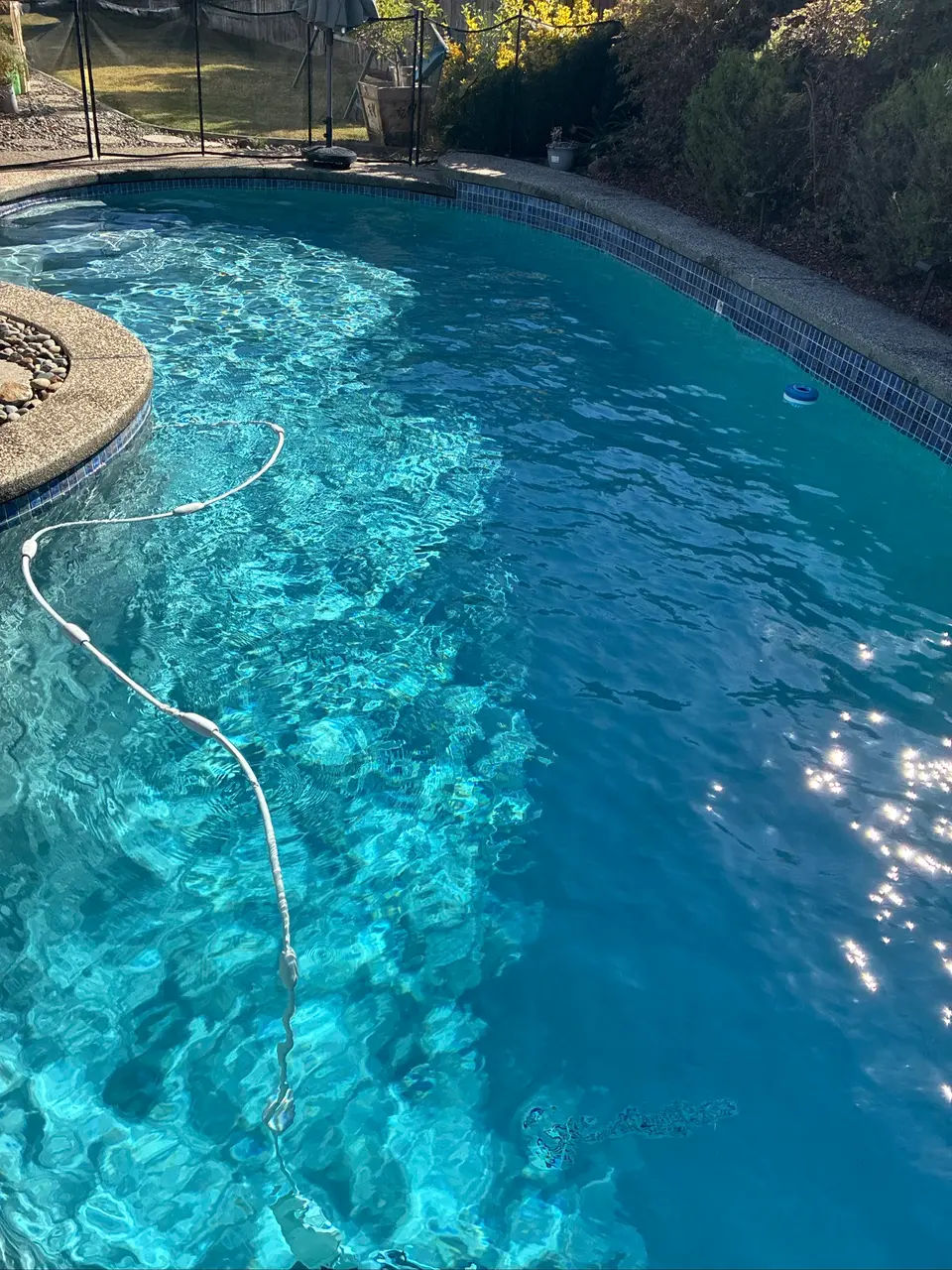 Clear blue water fills a curved pool bordered by blue tile, textured coping, and shrubs, with a cleaner hose, after pool service in Roseville, CA