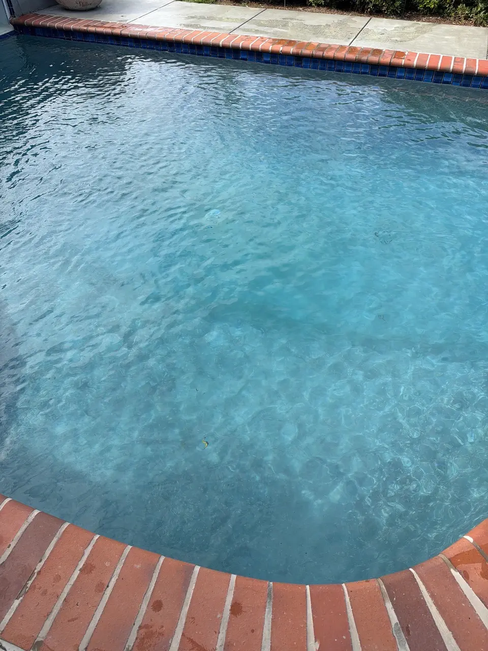 Clear blue pool water with rippled reflections, curved brick coping, and blue waterline tile, after pool service in San Diego, CA