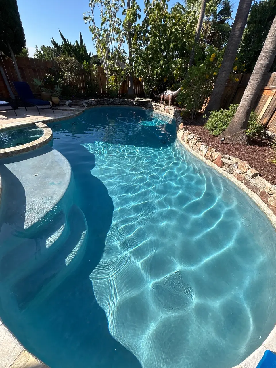 Sparkling blue water fills a curved pool with broad steps, an attached spa, stone edging, and palm landscaping, after pool service in San Diego, CA