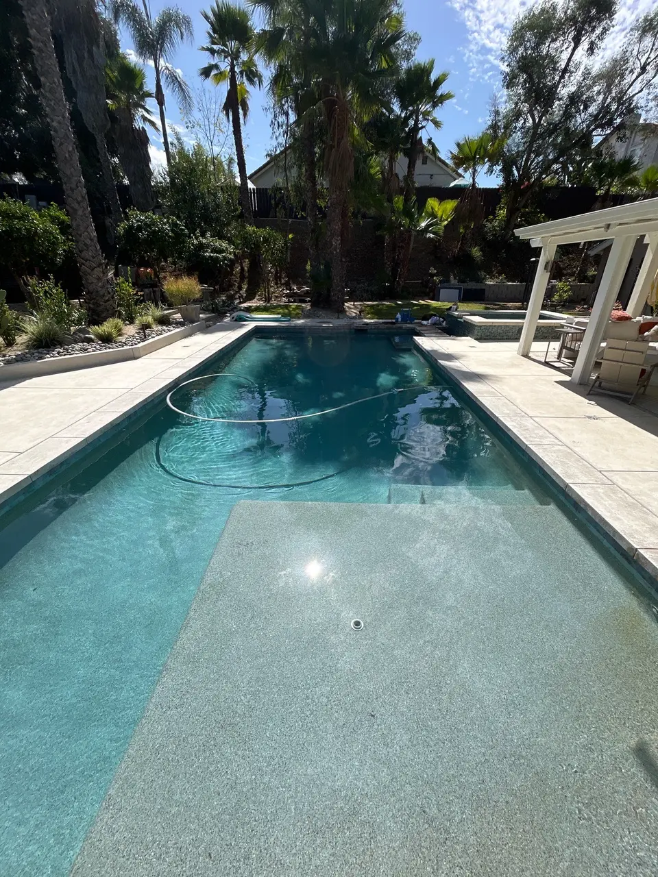 Clear turquoise pool with a broad sun shelf, raised spa, and palm-lined landscaping, after pool service in San Diego, CA