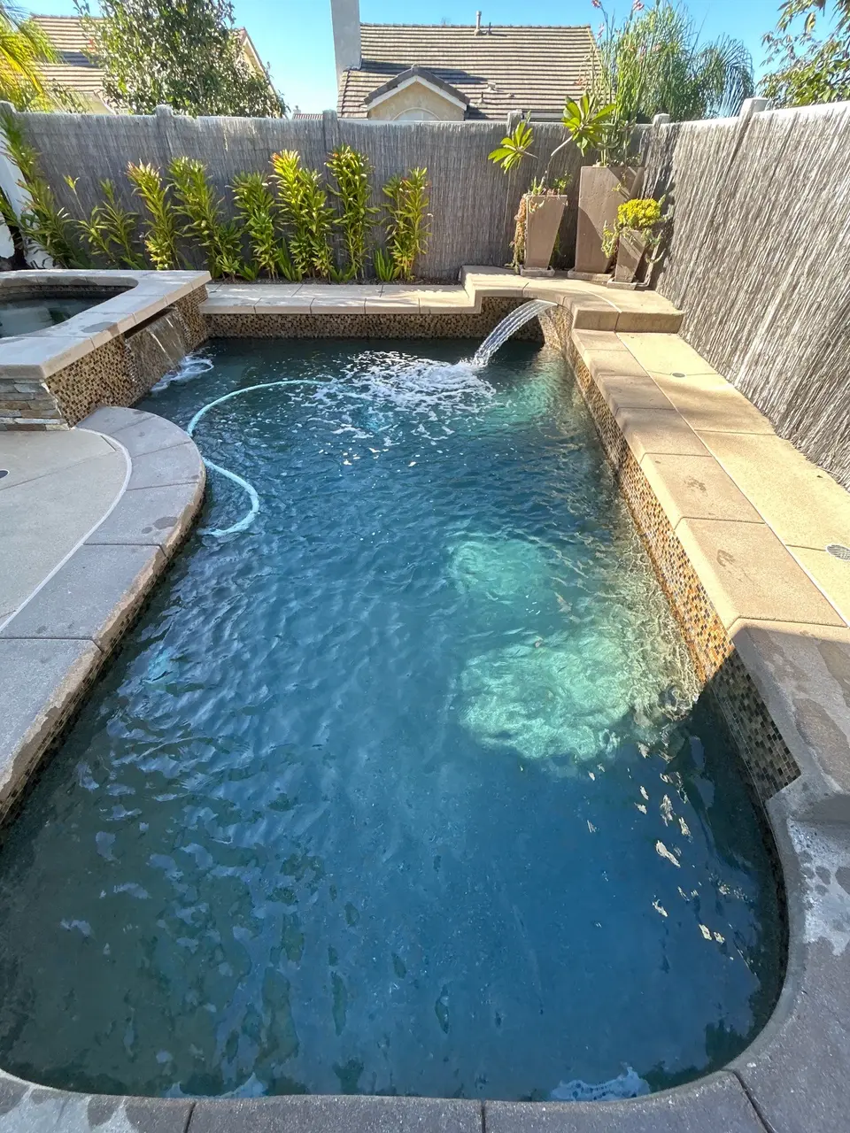 Clear blue water fills a curved pool with a raised spa, waterfalls, mosaic tile, and tropical landscaping, after pool service in San Diego, CA