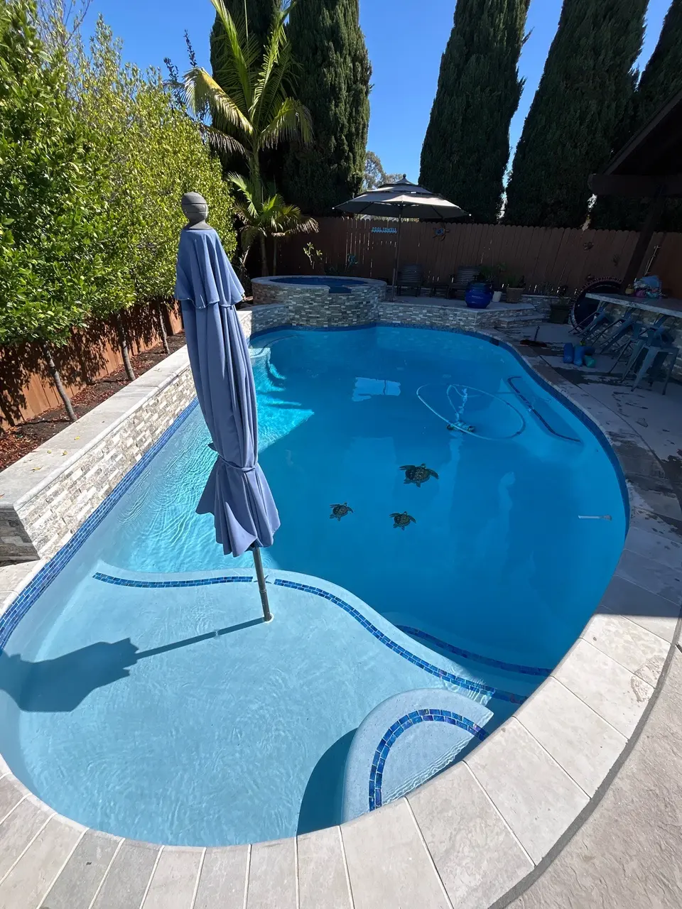 Sparkling blue pool with a shallow umbrella shelf, turtle mosaics, curved steps, and a raised stone-faced spa, after pool service in San Diego, CA