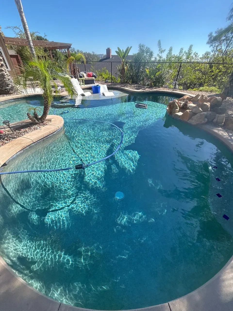 Sparkling turquoise water fills a freeform pool with curved steps, rock work, palm landscaping, and in-water loungers, after pool service in San Diego, CA