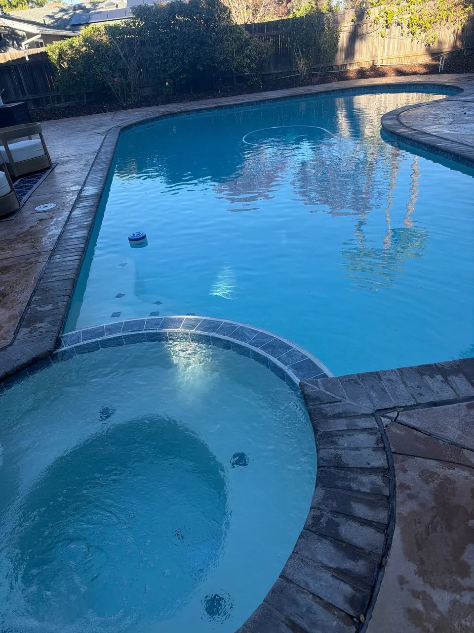 Clear blue water fills a curved pool and attached circular spa bordered by stone coping and landscaping, after pool service in San Marcos, CA