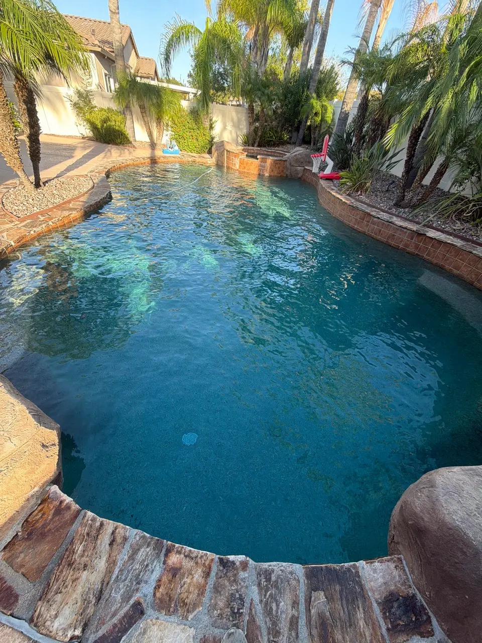 Clear blue water fills a freeform pool bordered by stone coping, rock accents, and lush palms, after pool service in Temecula, CA