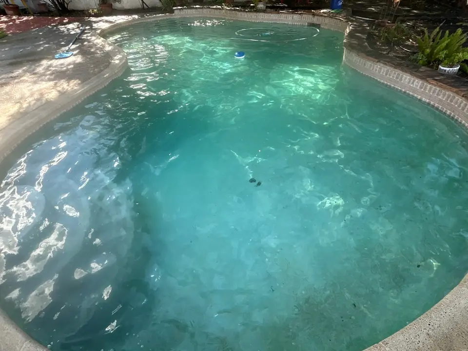 Clear turquoise water fills a curved pool with brick coping, surrounding plants, and a cleaning hose, after pool service in Temecula, CA