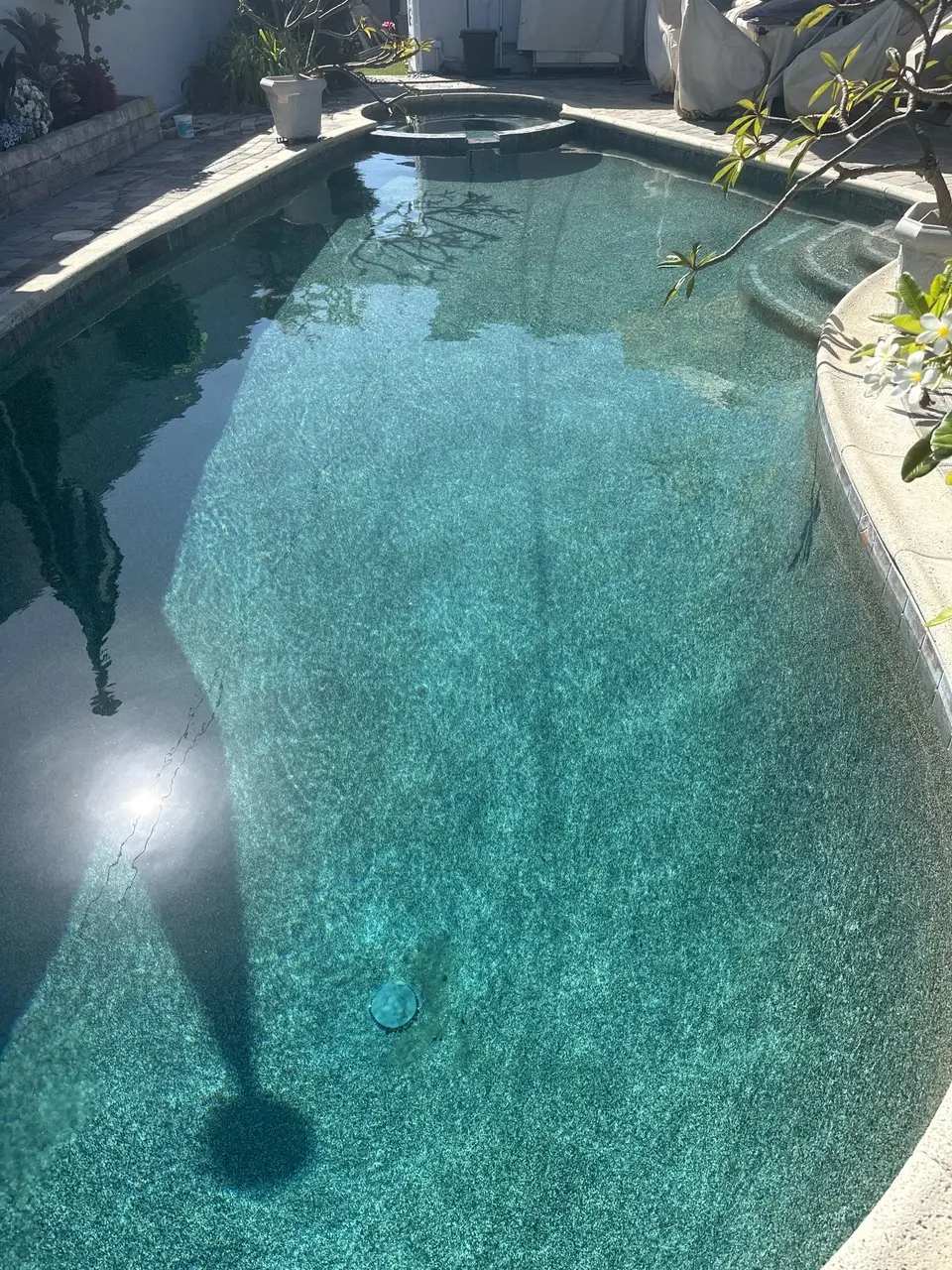 Clear turquoise water reveals a pebble finish and curved steps, with a raised circular spa and surrounding plants, after pool service in Torrance, CA