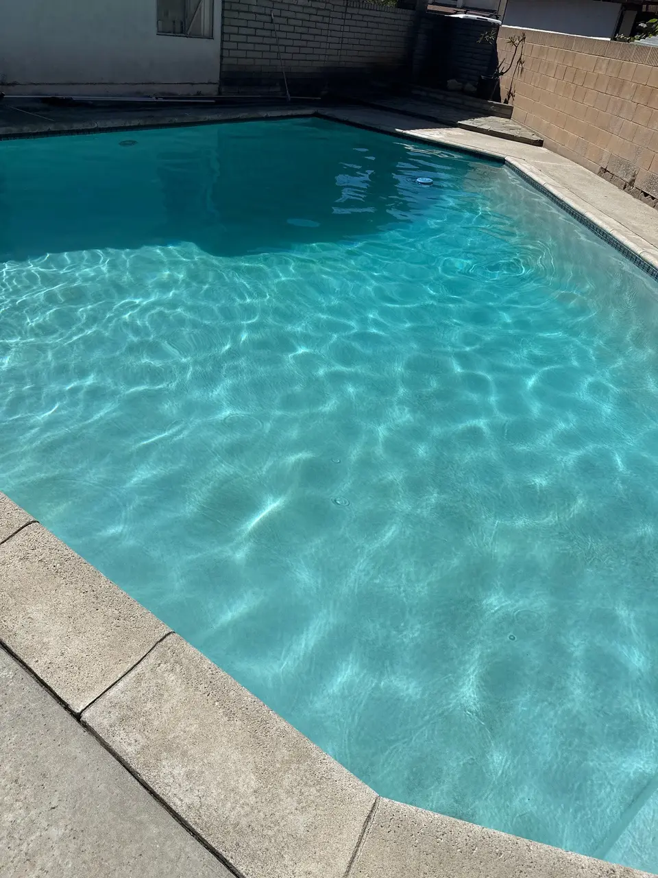 Clear turquoise pool water sparkles over a light-colored finish, bordered by concrete coping and waterline tile, after pool service in Torrance, CA