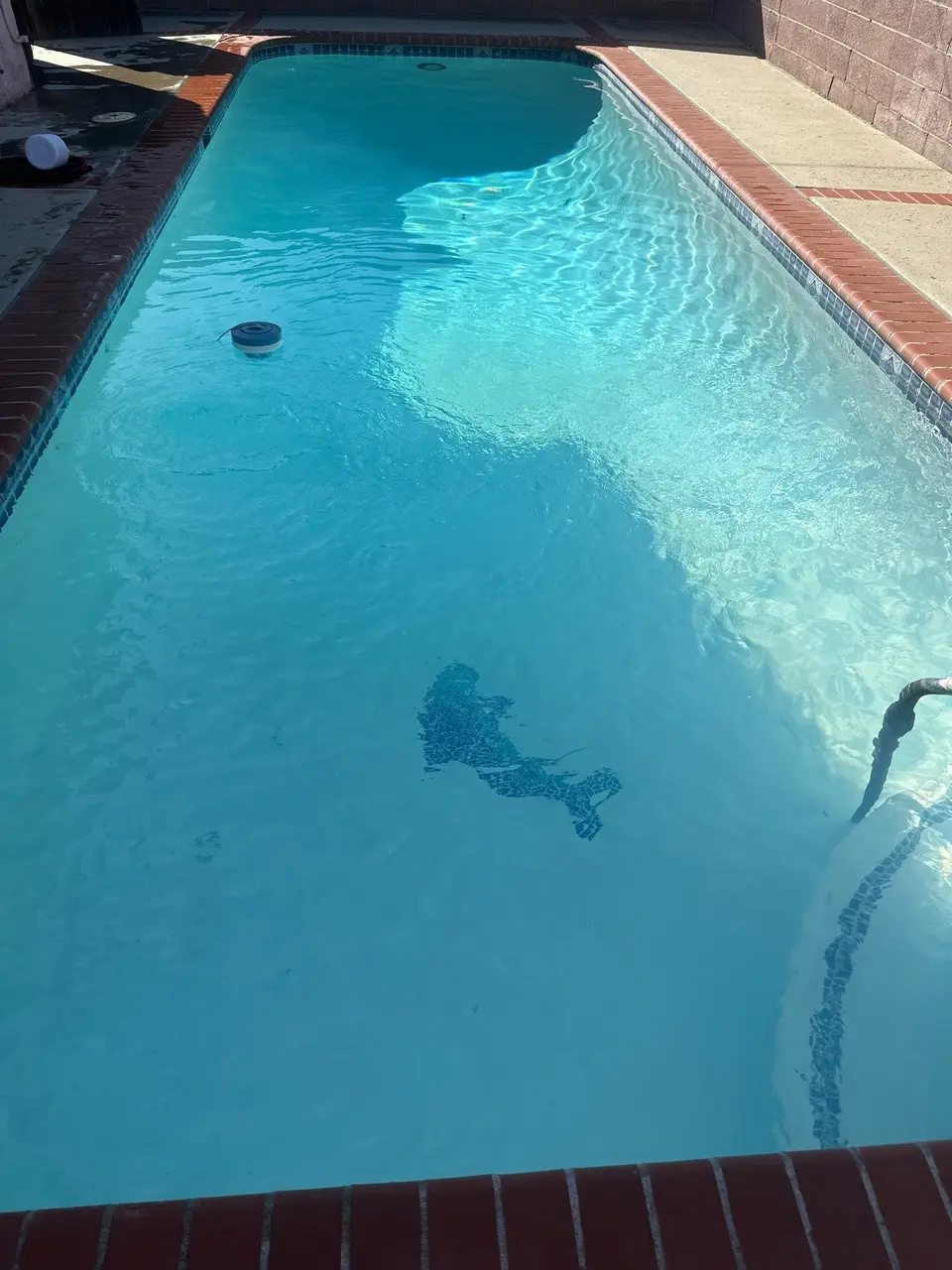 Clear turquoise water fills a rectangular pool with brick coping, decorative tile, and a dolphin floor mosaic, after pool service in Torrance, CA