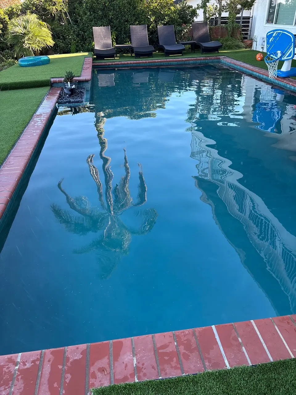 Clear blue pool water reflects palm trees, surrounded by brick coping, turf, lounge chairs, and a basketball hoop, after pool service in Torrance, CA