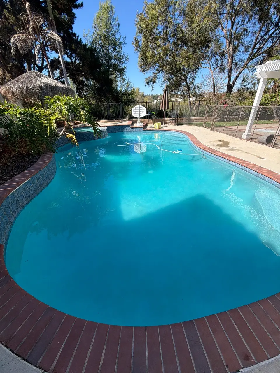 Clear turquoise water fills a freeform pool with blue tile, brick coping, tropical landscaping, and a basketball hoop, after pool service in Vista, CA