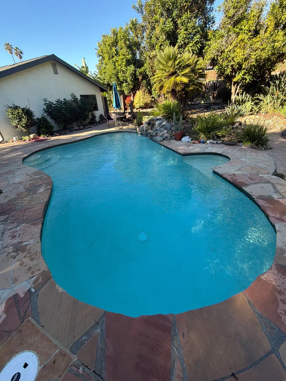 Clear turquoise water fills a freeform pool surrounded by stone decking, rock landscaping, and palms, after pool service in Vista, CA