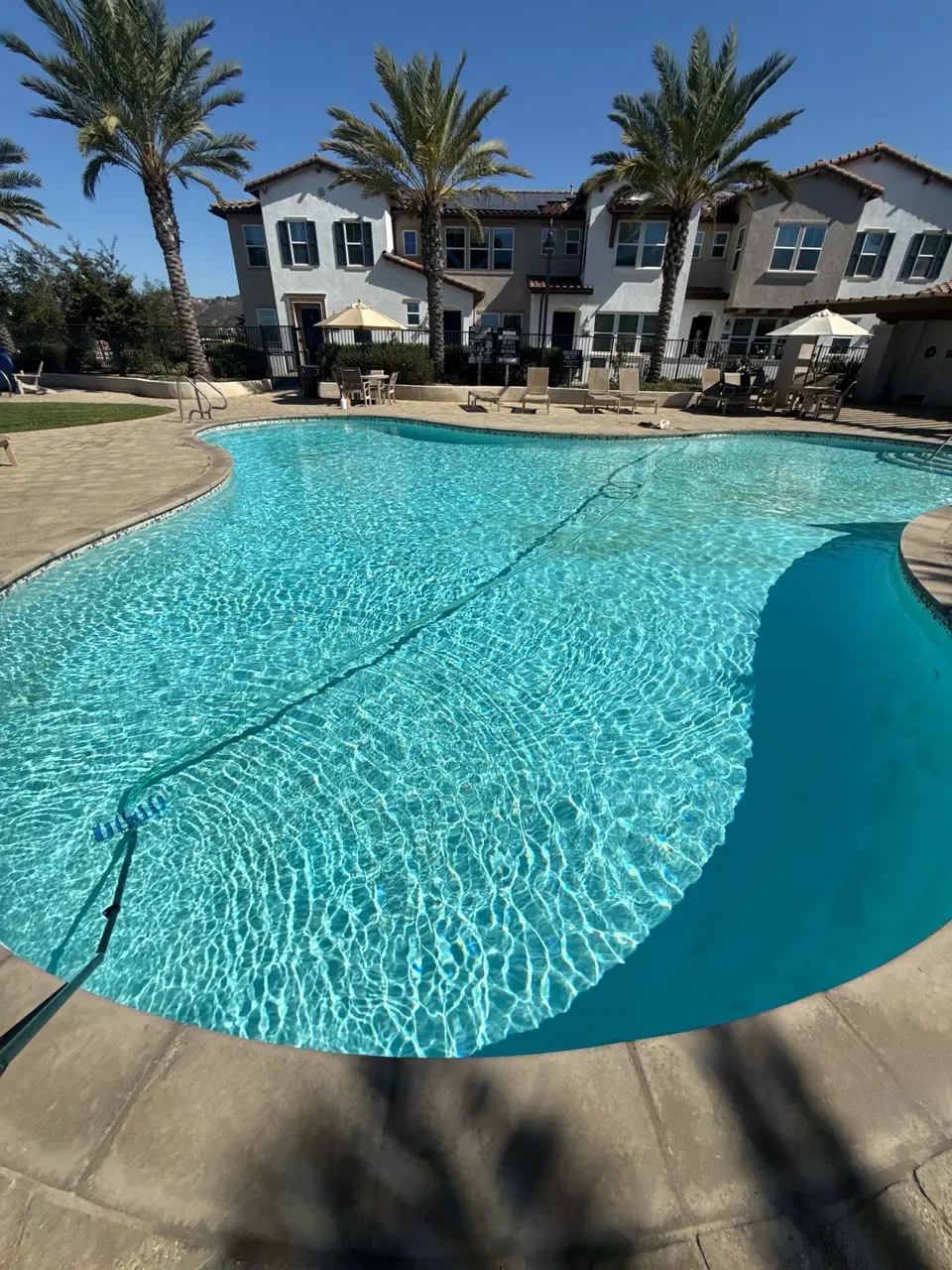 Sparkling turquoise water fills a curved pool bordered by pavers, lounge chairs, umbrellas, and palm trees, after pool service in Vista, CA