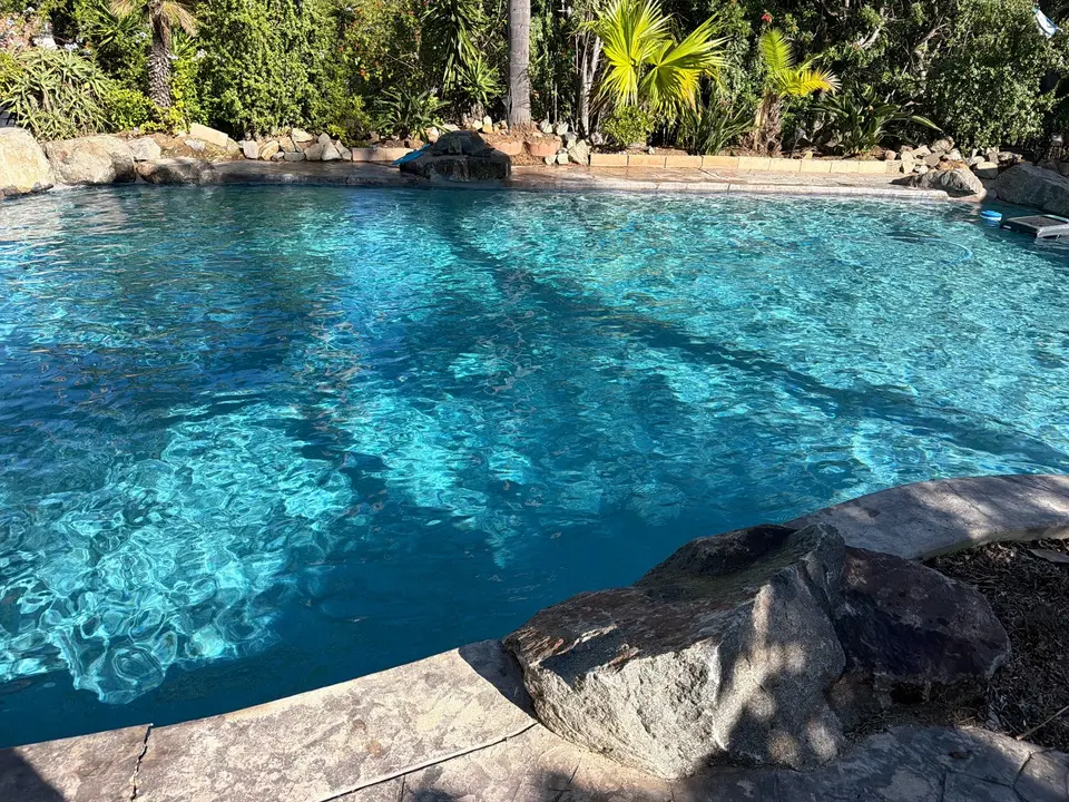 Sparkling blue pool water bordered by natural rocks, stone coping, and lush tropical landscaping, after pool service in Vista, CA
