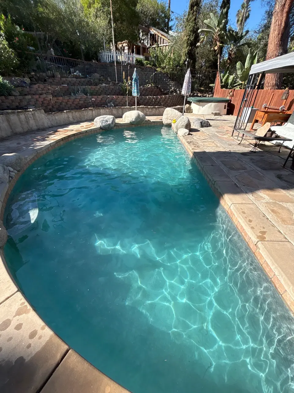 Sparkling turquoise water fills a freeform pool bordered by stone decking, decorative boulders, and lush terraced landscaping, after pool service in Vista, CA