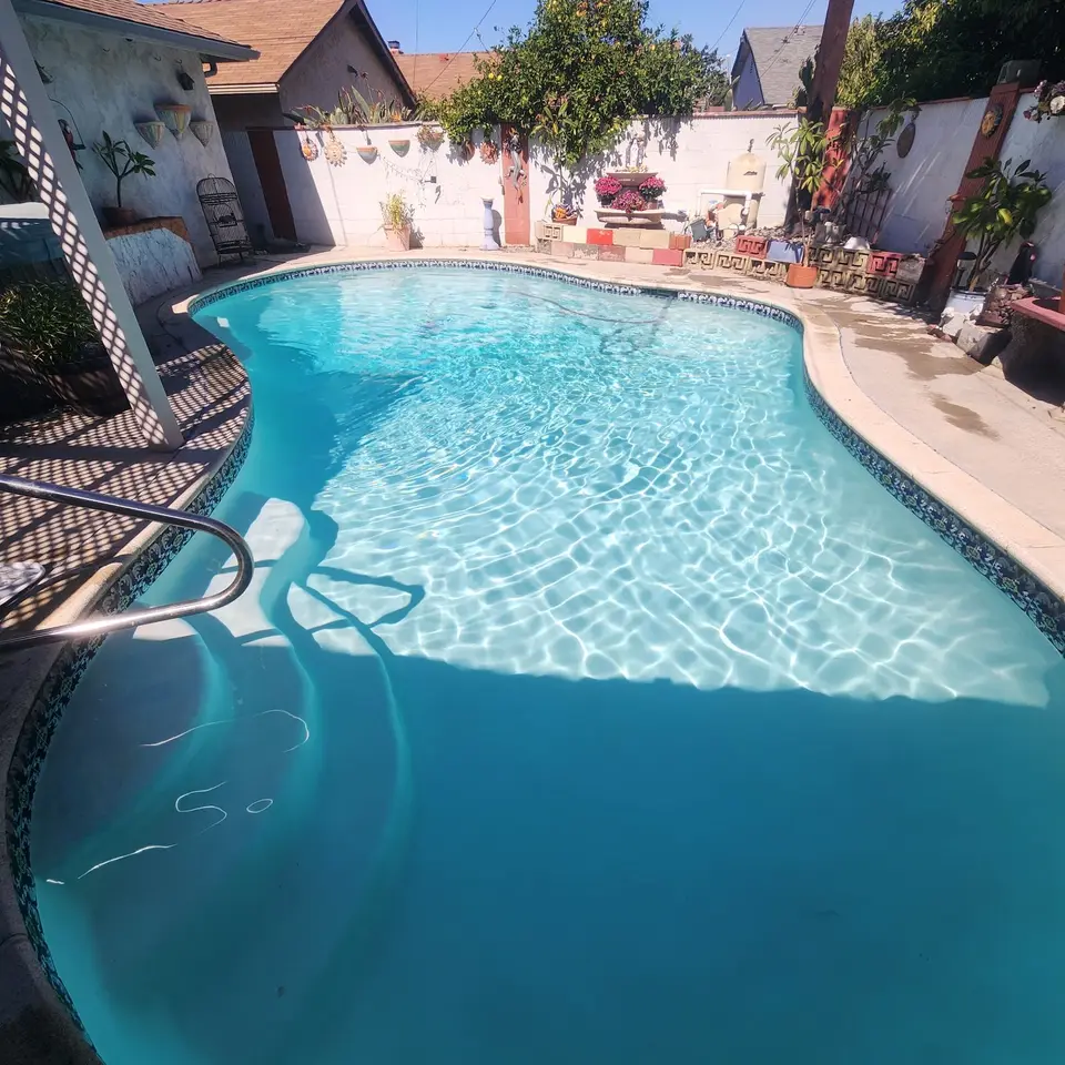 Clear blue water fills a freeform pool with patterned tile, entry steps, a handrail, and surrounding plants, after pool service in Wilmington, CA
