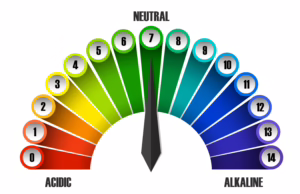 Test Your Water